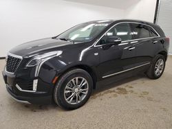 Salvage cars for sale from Copart Wilmer, TX: 2023 Cadillac XT5 Premium Luxury