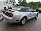 2006 Ford Mustang