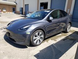 Salvage cars for sale from Copart Hayward, CA: 2023 Tesla Model Y