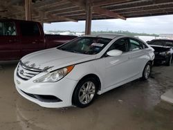 Vehiculos salvage en venta de Copart Houston, TX: 2014 Hyundai Sonata GLS