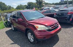 Salvage cars for sale at Orlando, FL auction: 2011 Honda CR-V EXL