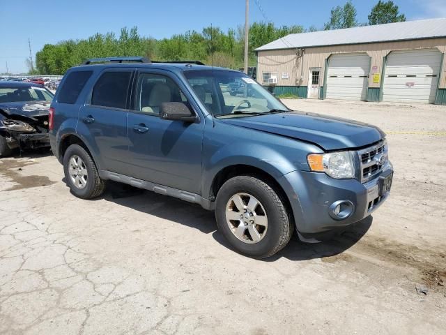 2010 Ford Escape Limited