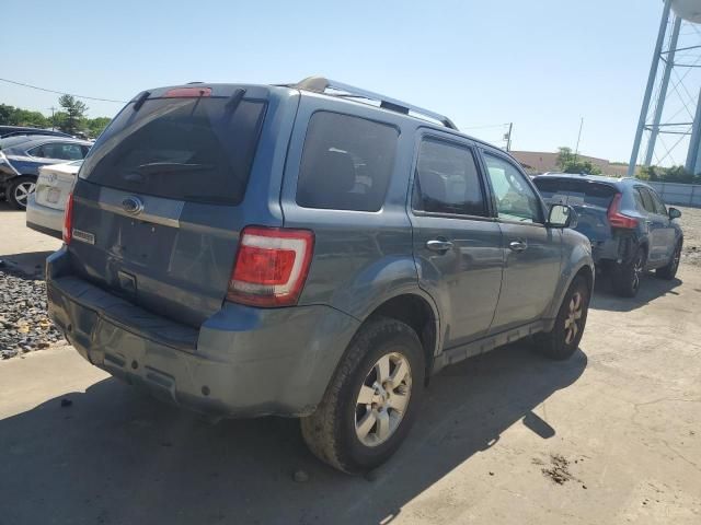 2011 Ford Escape Limited