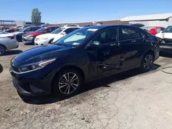 Salvage cars for sale at North Las Vegas, NV auction: 2023 KIA Forte LX