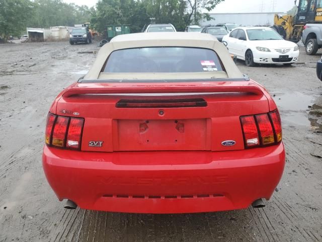 1999 Ford Mustang Cobra SVT