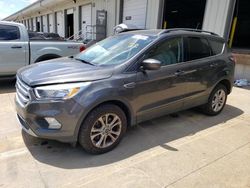 2018 Ford Escape SE en venta en Louisville, KY