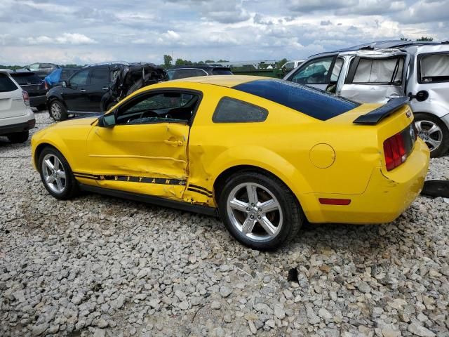 2005 Ford Mustang