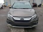 2019 Honda Odyssey EXL