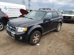 Salvage cars for sale from Copart Elgin, IL: 2011 Ford Escape Limited