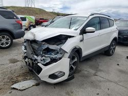 Salvage cars for sale from Copart Littleton, CO: 2018 Ford Escape SEL