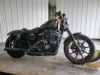 2020 Harley-Davidson XL883 N