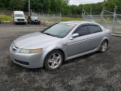 Salvage cars for sale from Copart Finksburg, MD: 2006 Acura 3.2TL