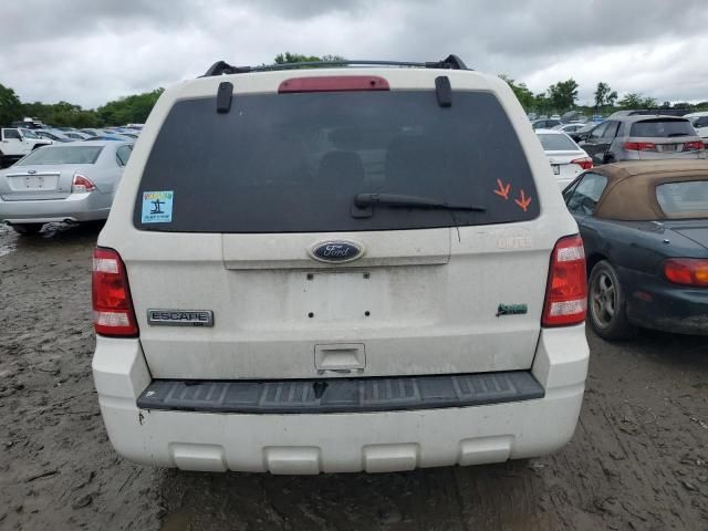 2010 Ford Escape XLT