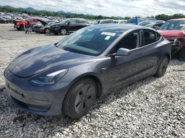 2021 Tesla Model 3