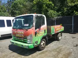 Salvage trucks for sale at Waldorf, MD auction: 2013 Isuzu NPR