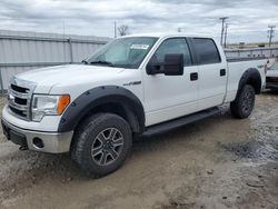 Salvage cars for sale at Appleton, WI auction: 2013 Ford F150 Supercrew