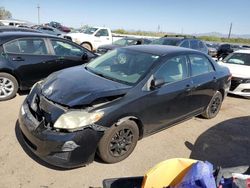 Salvage cars for sale from Copart Tucson, AZ: 2009 Toyota Corolla Base