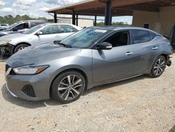Salvage cars for sale at auction: 2019 Nissan Maxima S