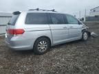 2010 Honda Odyssey EX