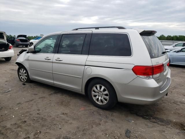 2008 Honda Odyssey EXL