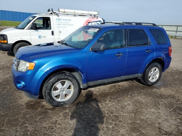 2011 Ford Escape XLT