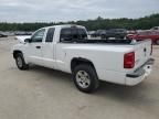 2007 Dodge Dakota SLT