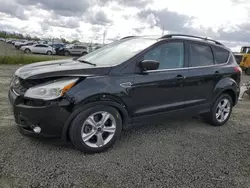 Salvage cars for sale from Copart Eugene, OR: 2014 Ford Escape SE