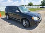 2010 Ford Escape XLS