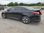 2013 KIA Optima Hybrid