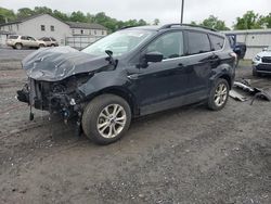 Salvage cars for sale at York Haven, PA auction: 2018 Ford Escape SE
