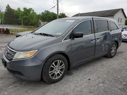 Salvage cars for sale at York Haven, PA auction: 2011 Honda Odyssey EXL