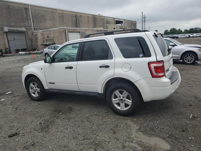 2008 Ford Escape HEV