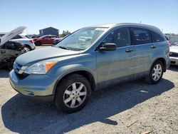 Salvage cars for sale at Antelope, CA auction: 2011 Honda CR-V SE