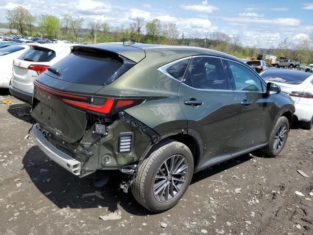 2023 Lexus NX 350