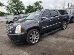 Salvage cars for sale at West Mifflin, PA auction: 2010 Cadillac Escalade ESV Premium