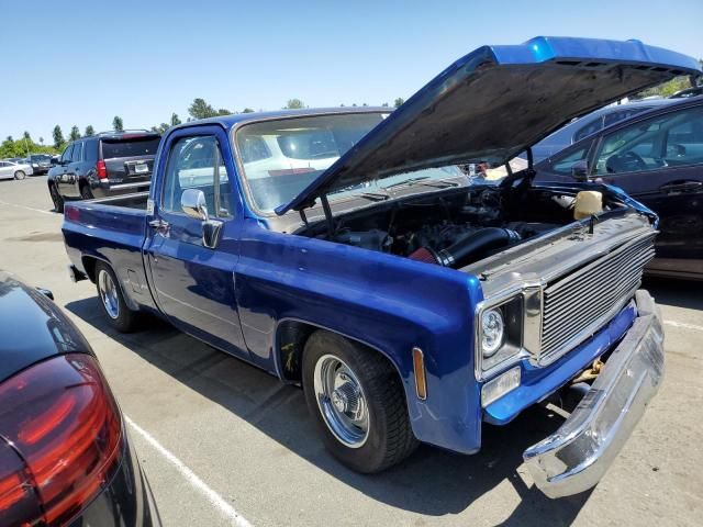 1974 Chevrolet Slvrd 1500