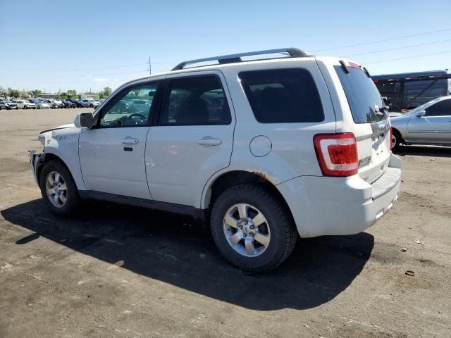 2011 Ford Escape Limited