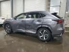 2020 Lexus NX 300H