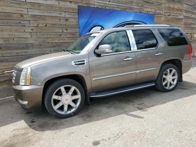 2012 Cadillac Escalade Hybrid