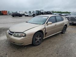 Salvage cars for sale at Indianapolis, IN auction: 2005 Chevrolet Impala LS