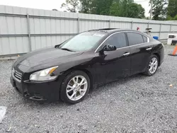 Salvage cars for sale at Gastonia, NC auction: 2012 Nissan Maxima S