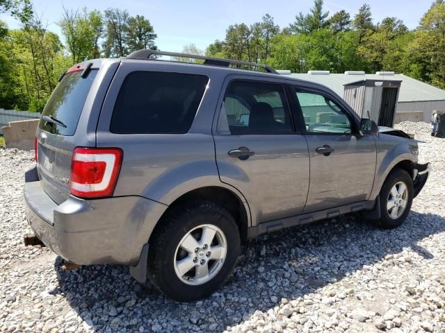 2009 Ford Escape XLT