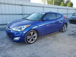 Salvage cars for sale at Gastonia, NC auction: 2013 Hyundai Veloster