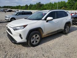 Salvage cars for sale at Memphis, TN auction: 2019 Toyota Rav4 XLE