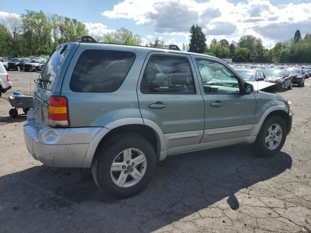 2006 Ford Escape HEV