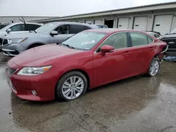 Salvage cars for sale from Copart Louisville, KY: 2013 Lexus ES 350