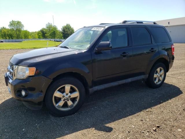 2010 Ford Escape Limited