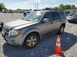 Salvage cars for sale at Barberton, OH auction: 2008 Ford Escape HEV