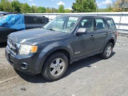 Salvage cars for sale at Grantville, PA auction: 2008 Ford Escape XLS