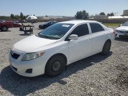 Salvage cars for sale at Mentone, CA auction: 2010 Toyota Corolla Base